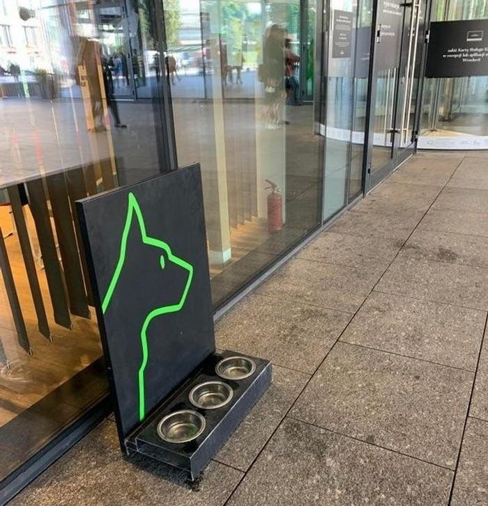 1750476038 979 17 lojas que tiveram as melhores ideias pra cativar seus