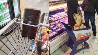 17 Lojas que tiveram as melhores ideias pra cativar seus clientes