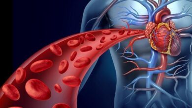 14 Sinais de que a circulação do sangue está ruim