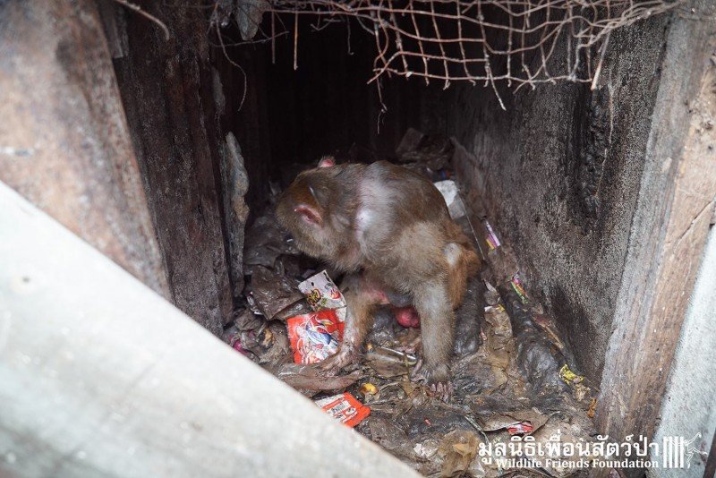 1750506787 252 uma denuncia anonima levou a equipe de resgate a este ani5