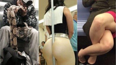 16 Provas de que o metrô não pertence a este mundo