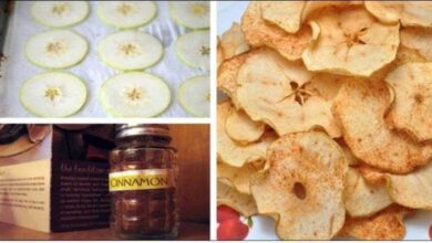 Chips de maçã e canela: Controla diabetes, colesterol e queima gorduras