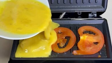 Refeição completa na sanduicheira fácil saudável e sem sujar panela