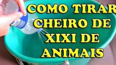 1750607712 como tirar cheiro de urina de animais da casa com Como tirar cheiro de urina de animais da casa com apenas 3 ingredientes