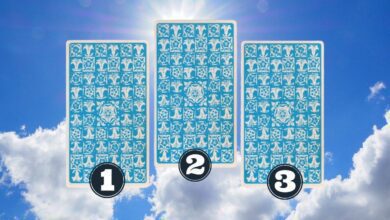 Escolha uma carta e descobre o que está guardado para você no próximo