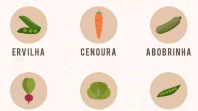 12 VERDURAS E LEGUMES PARA PLANTAR EM VASOS