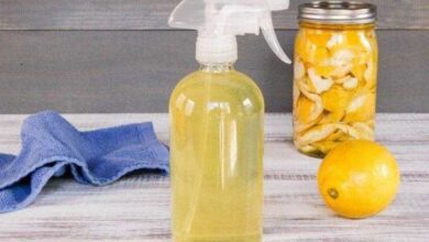 Resolva 9 problemas de saúde com suco de limão