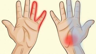 Conheça 7 coisas que as mãos dizem sobre a saúde