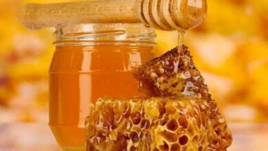 7 usos surpreendentes do mel de abelhas