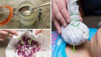 12 usos alternativos e surpreendentes da cebola