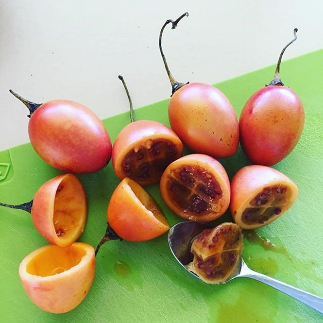 1750694182 789 16 frutas exoticas que a grande maioria das pessoas nao Foto: