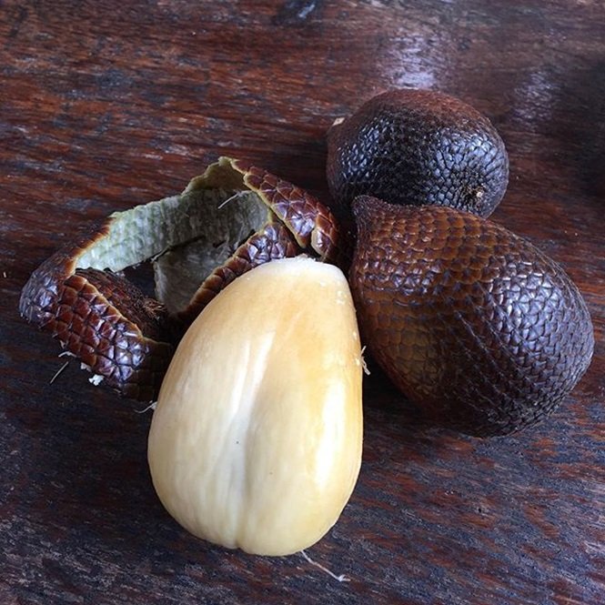 1750694186 596 16 frutas exoticas que a grande maioria das pessoas nao Foto: