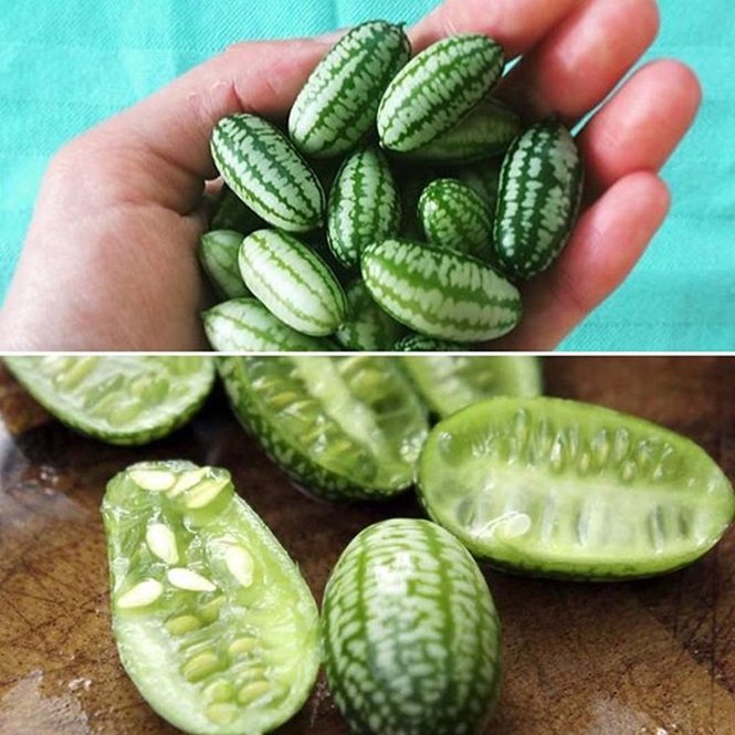 1750694190 746 16 frutas exoticas que a grande maioria das pessoas nao Foto: