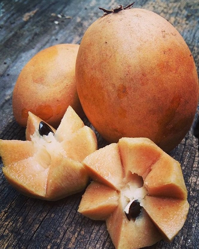 1750694194 759 16 frutas exoticas que a grande maioria das pessoas nao Foto: