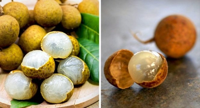 1750694199 710 16 frutas exoticas que a grande maioria das pessoas nao Foto: