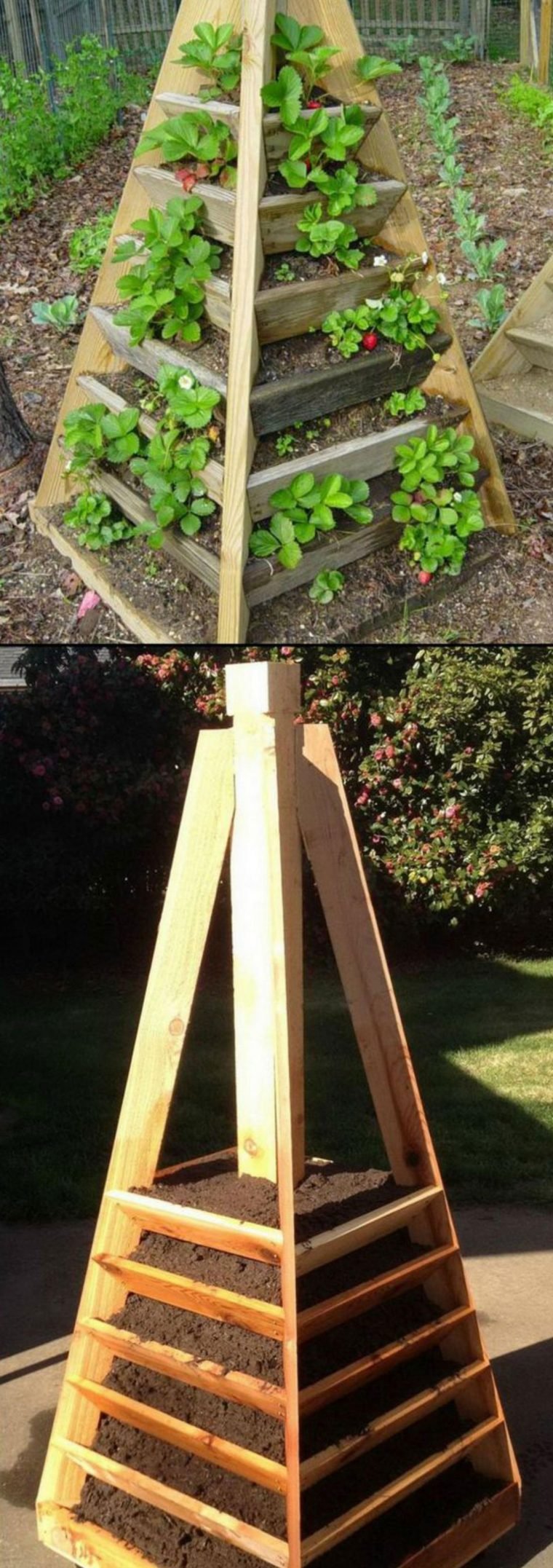 1750707737 357 9 formas diferentes de cultivar morangos em casa