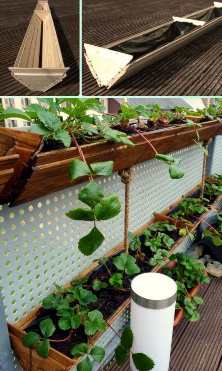 1750707746 465 9 formas diferentes de cultivar morangos em casa