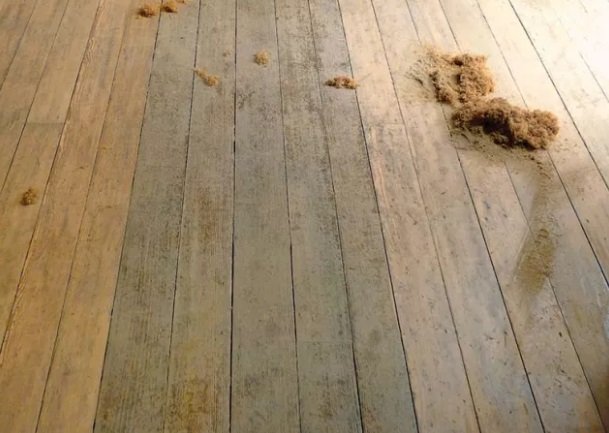 1750710374 286 como fazer raspagem de assoalho