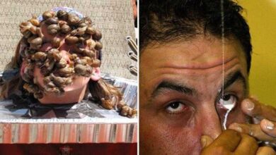 Os 20 recordes mais insanos e bizarros