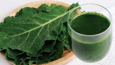 Comer couve deixa o cérebro 11 anos mais jovem