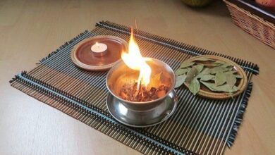 3 benefícios de queimar folhas de louro em sua casa