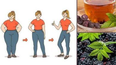 Perca até 4kg por semana com o chá de amora – veja como fazer!