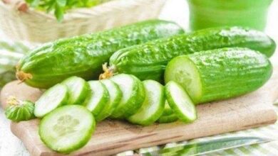 10 motivos para você não tirar mais o pepino do seu cardápio