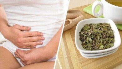 Tratamento caseiro para infecção urinária