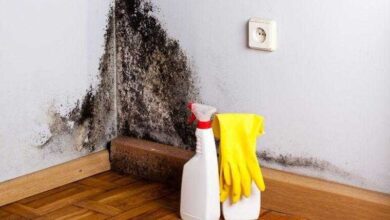 Pulverize isto e nunca mais vai ter mofo novamente nas parede