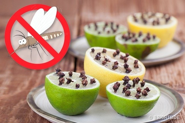 © depositphotos © depositphotos 