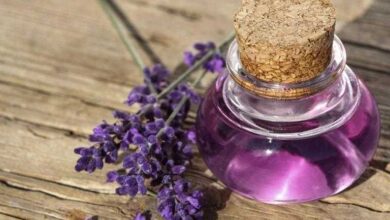 8 benefícios do óleo essencial de sálvia