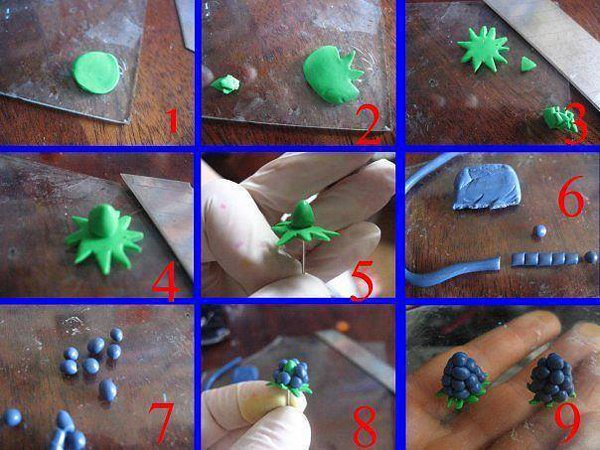 uva de biscuit uva de biscuit