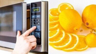 Como tirar mau cheiro do micro-ondas