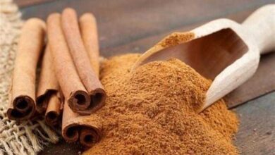 5 razões para aproveitar o friozinho e investir na canela