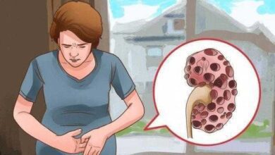 Os 10 primeiros sintomas que indicam que seus rins estão com problemas!