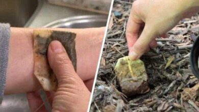 10 Utilidades do saquinho de chá usado