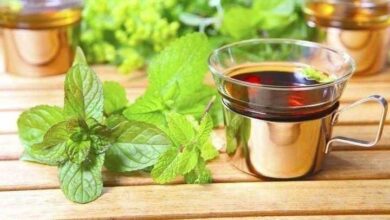 Propriedades do chá de menta