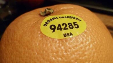 verdade-sobre-numeros-de-frutas_1