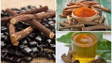 Raiz poderosa tira a fome e combate o excesso de peso