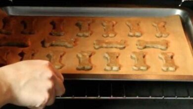 Como fazer deliciosos e saudáveis biscoitos para cães