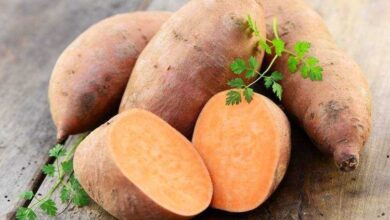 Os Benefícios da Batata Yacon