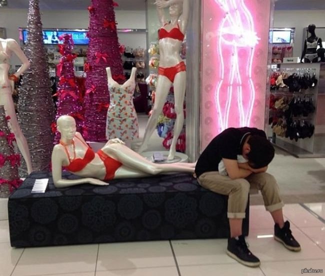 1750922310 403 16 imagens que demonstram muito bem o que e desespero