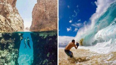 21 fotos surpreendentes e belas de se admirar tiradas por pessoas sortudas