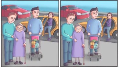 1750975817 quebra cabeca voce consegue encontrar uma diferenca entre essas duas imagens Quebra-cabeça: você consegue encontrar uma diferença entre essas duas imagens?