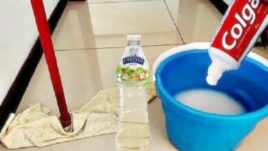 Como usar pasta de dente para passar pano no chão: piso limpo e brilhando