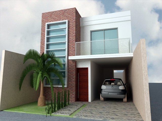 Como plantar abacaxi em casa e até em apartamento