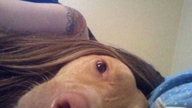 20 imagens que vão bugar seu cérebro