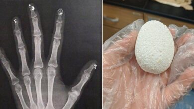 17 fotos fantásticas que vão abrir seus olhos para os segredos escondidos pelo mundo