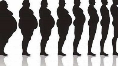 Sumo de beringela e gengibre