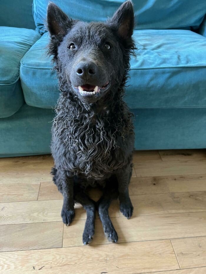 Como limpar geladeira por dentro e por fora